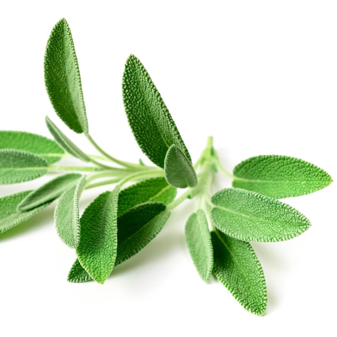 Kinside natural skincare ingredients