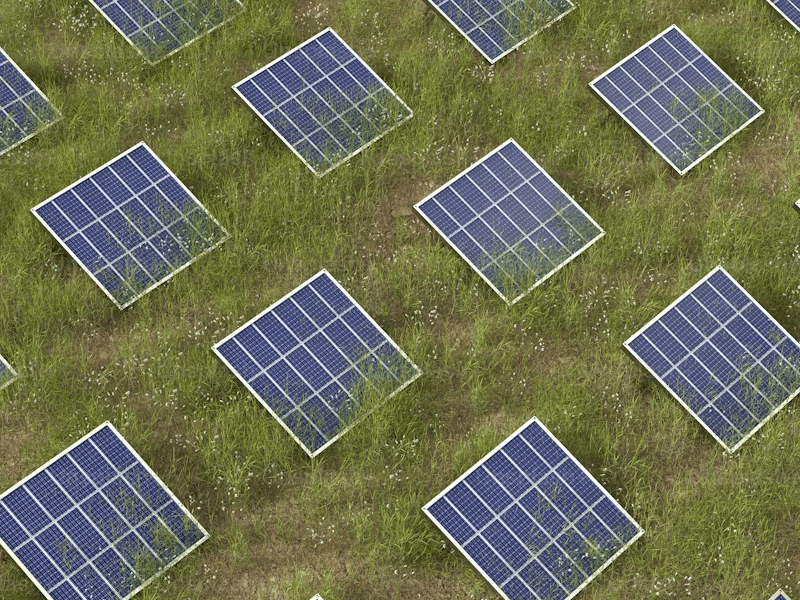 Kinside carbon-neutral commitment
